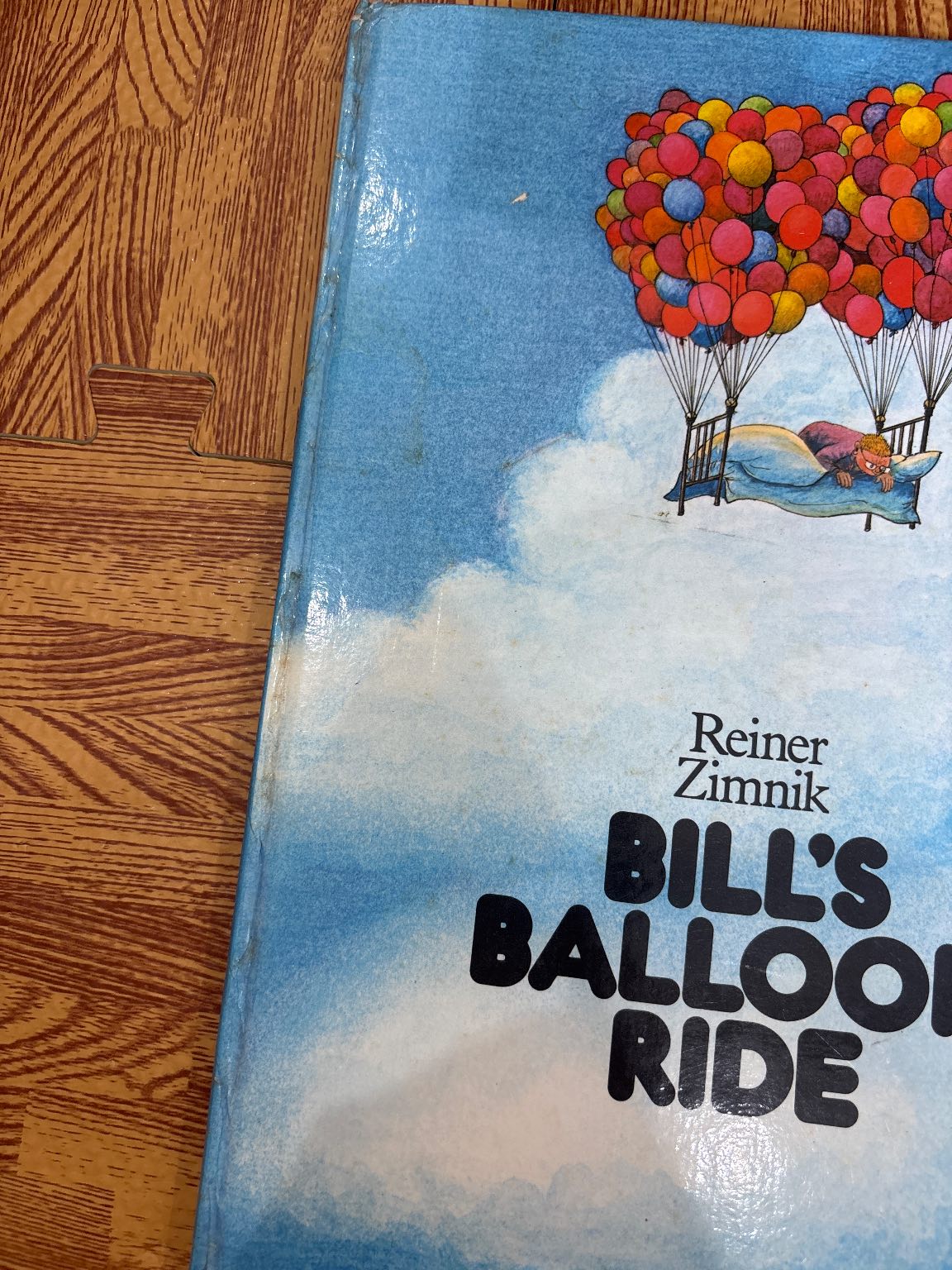 Bill's Balloon Ride — ảnh 7