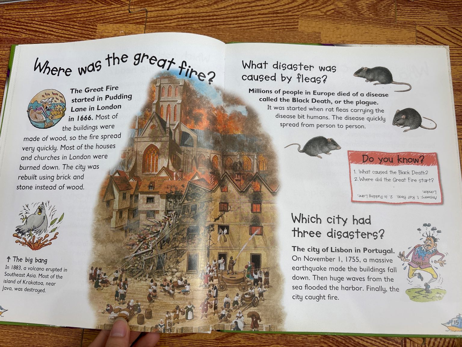 Who lived in castles? — ảnh 4
