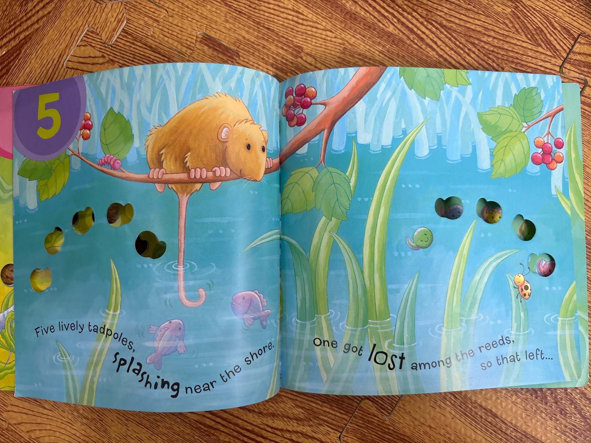 Ten Tiddly Widdly Tadpoles — ảnh 3