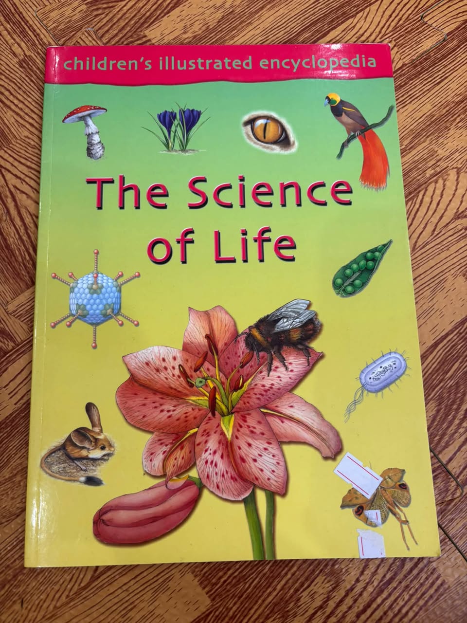 CHILDREN'S ILLUSTRATED ENCYCLOPEDIA: THE SCIENCE OF LIFE — ảnh 1