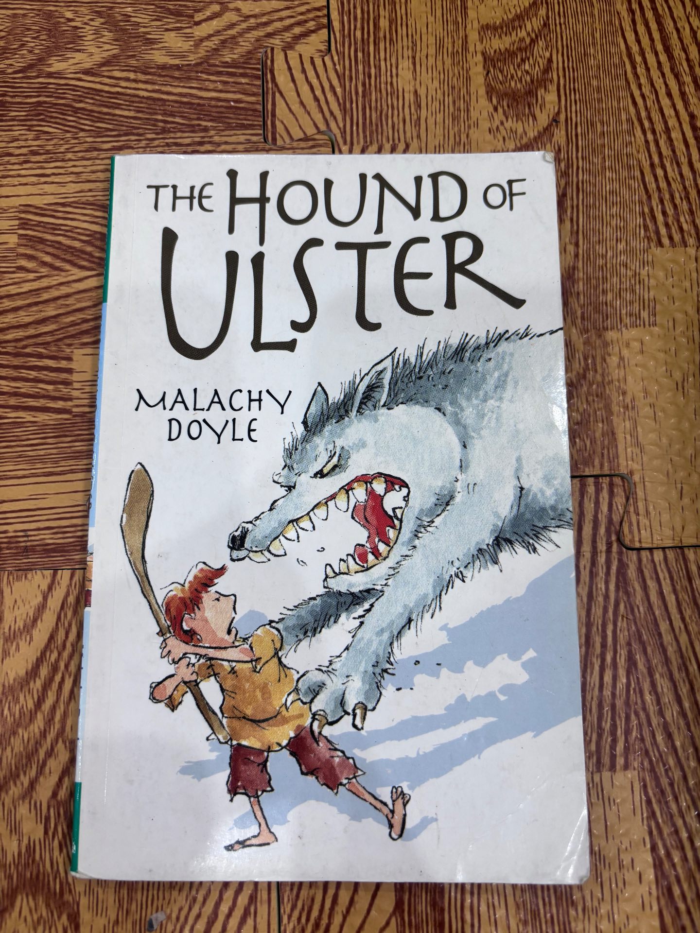 The Hound of Ulster