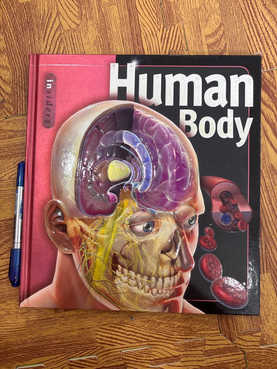 Human Body — ảnh 1