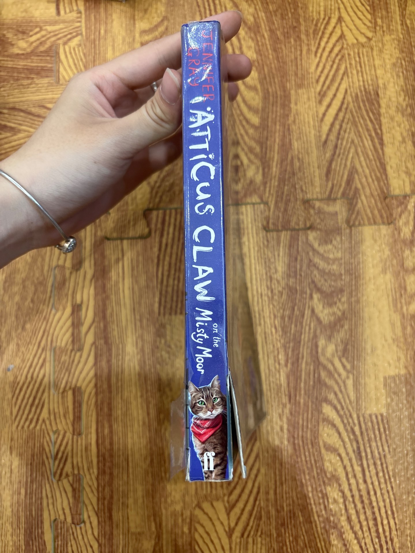 Atticus Claw On the Misty Moor — ảnh 3
