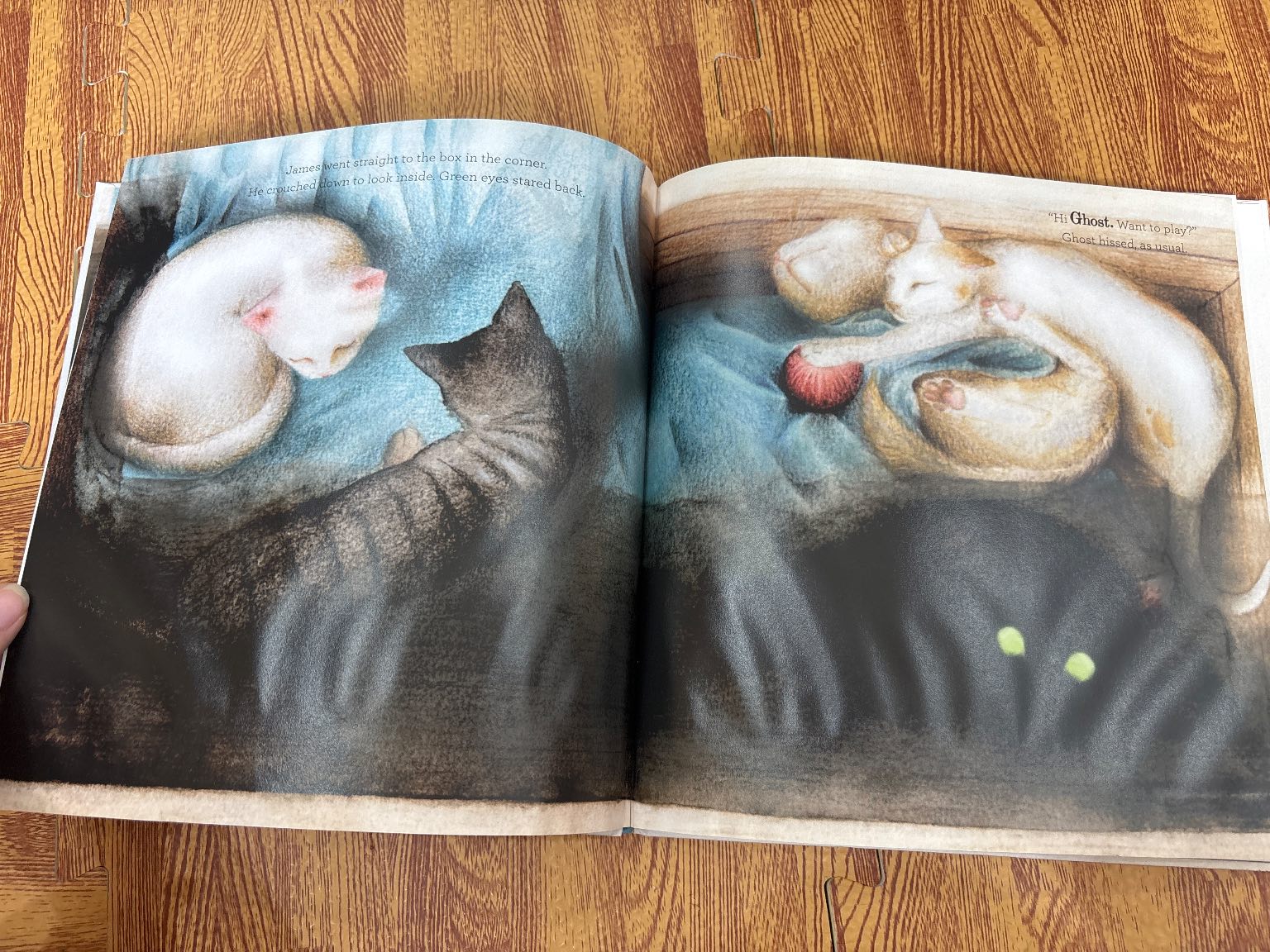 James' Reading Rescue — ảnh 3