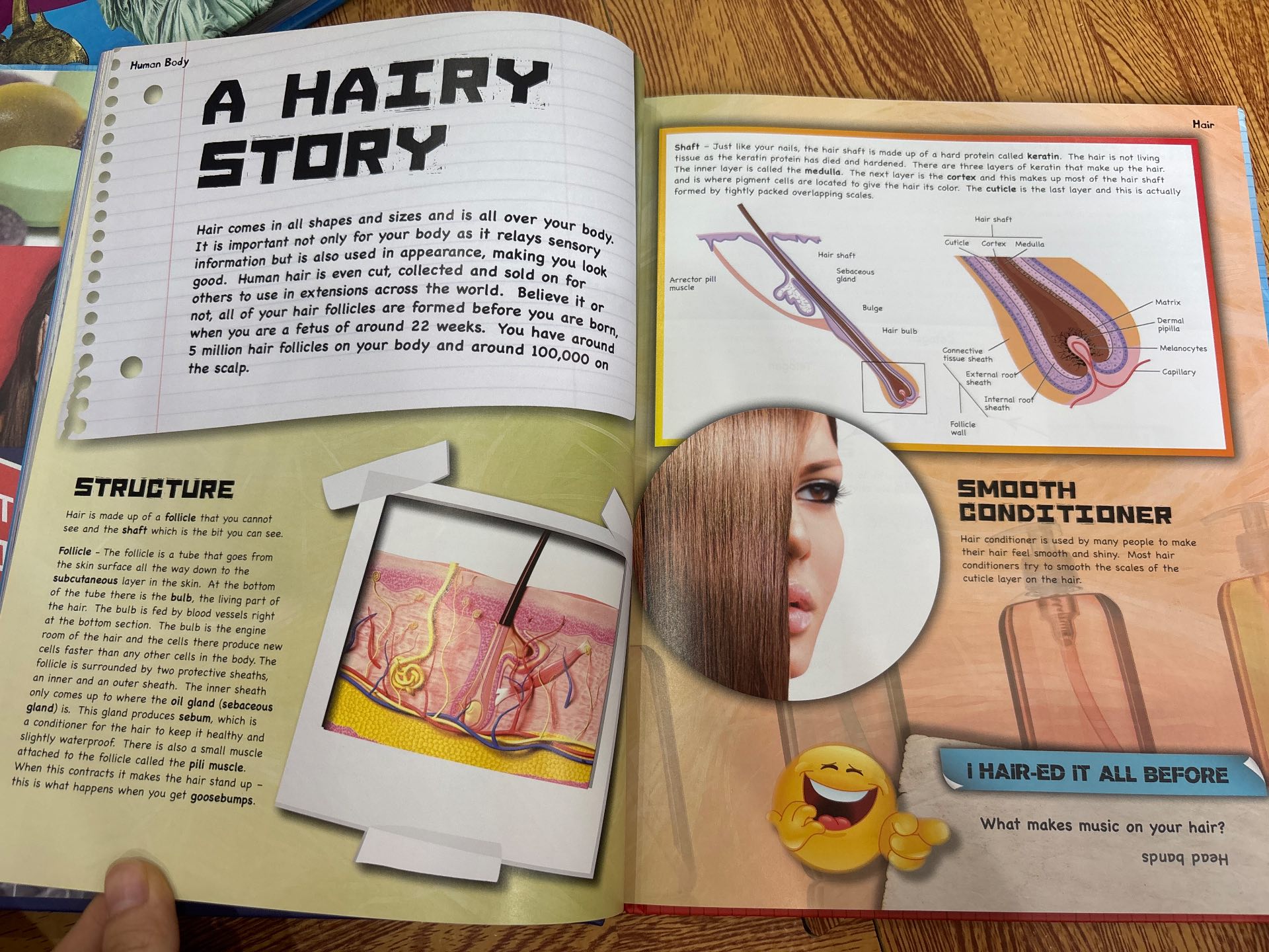 The Interactive Human Body — ảnh 3