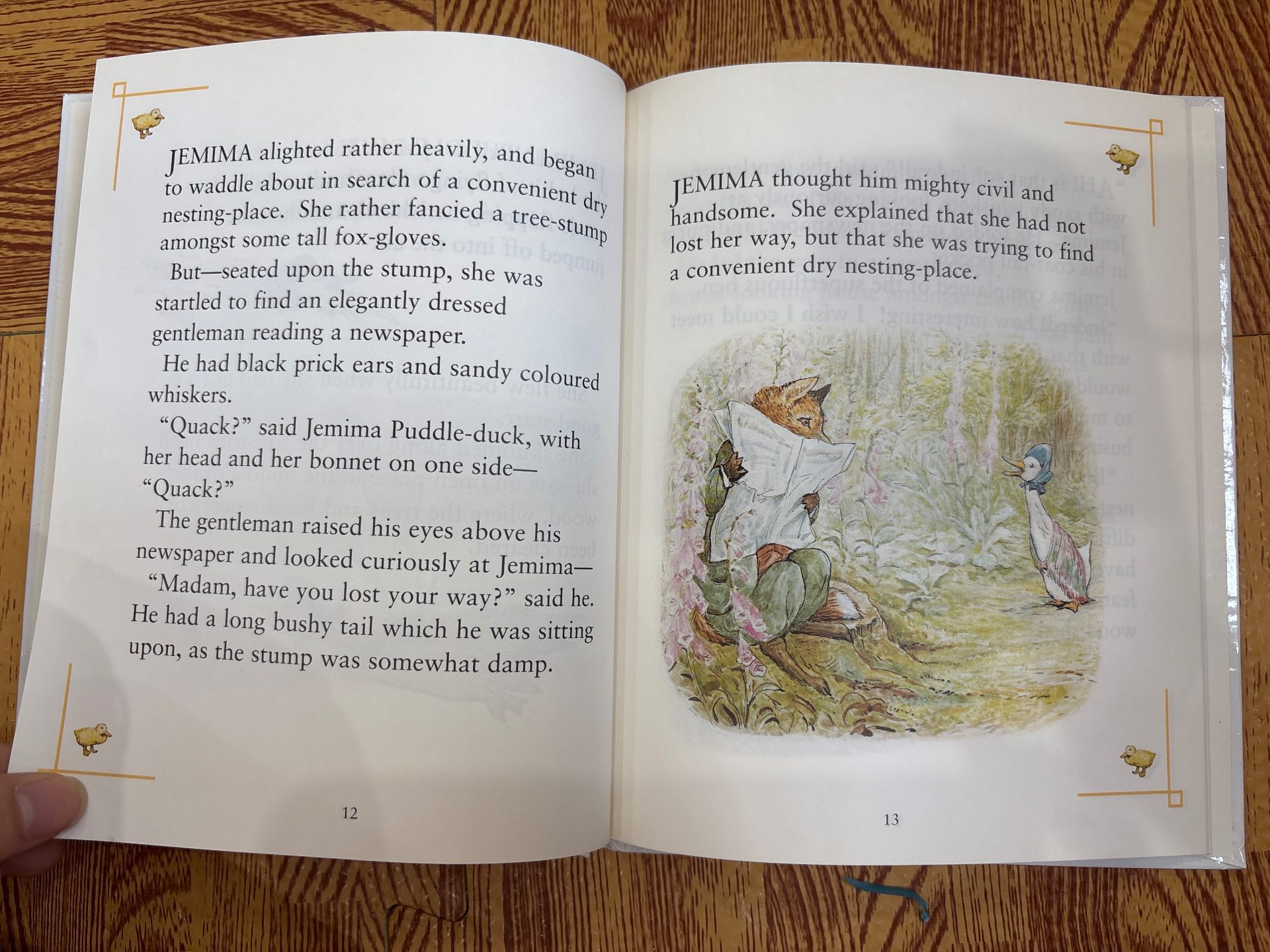 The Tale of Jemima Puddle-Duck — ảnh 4