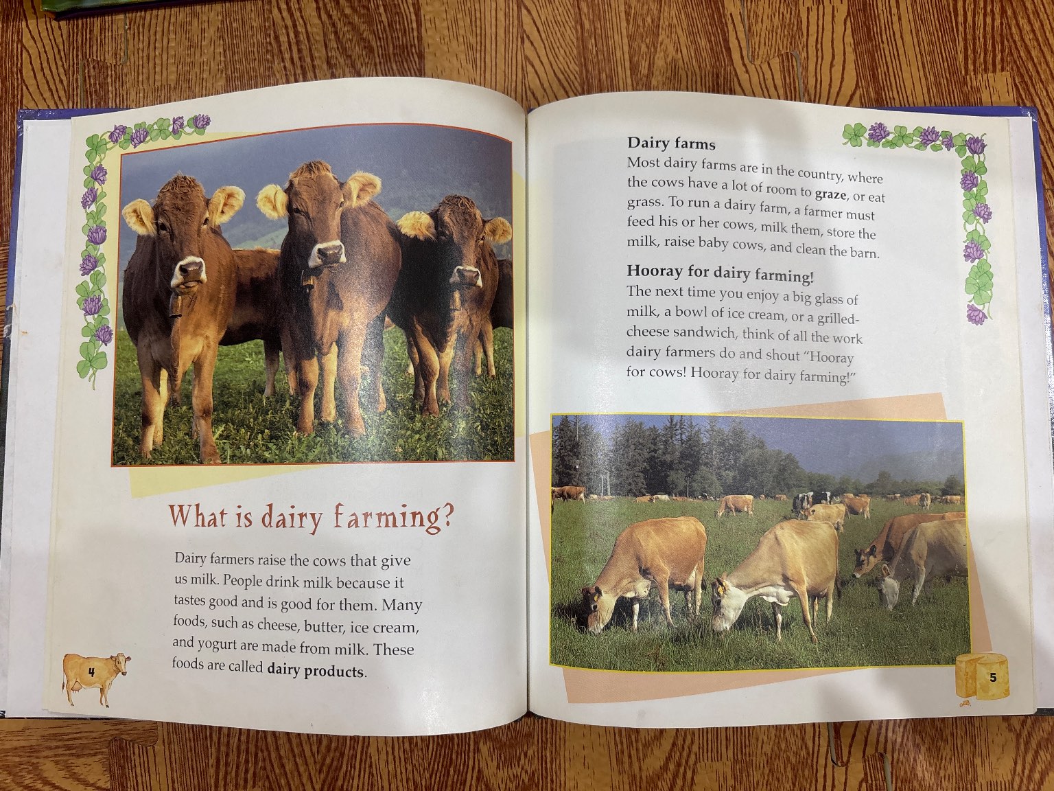 Hooray for DAIRY FARMING! — ảnh 3