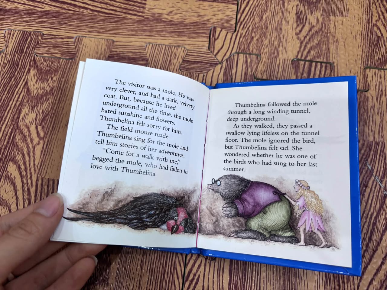 Thumbelina – Illustrated by Fran Thatcher — ảnh 3