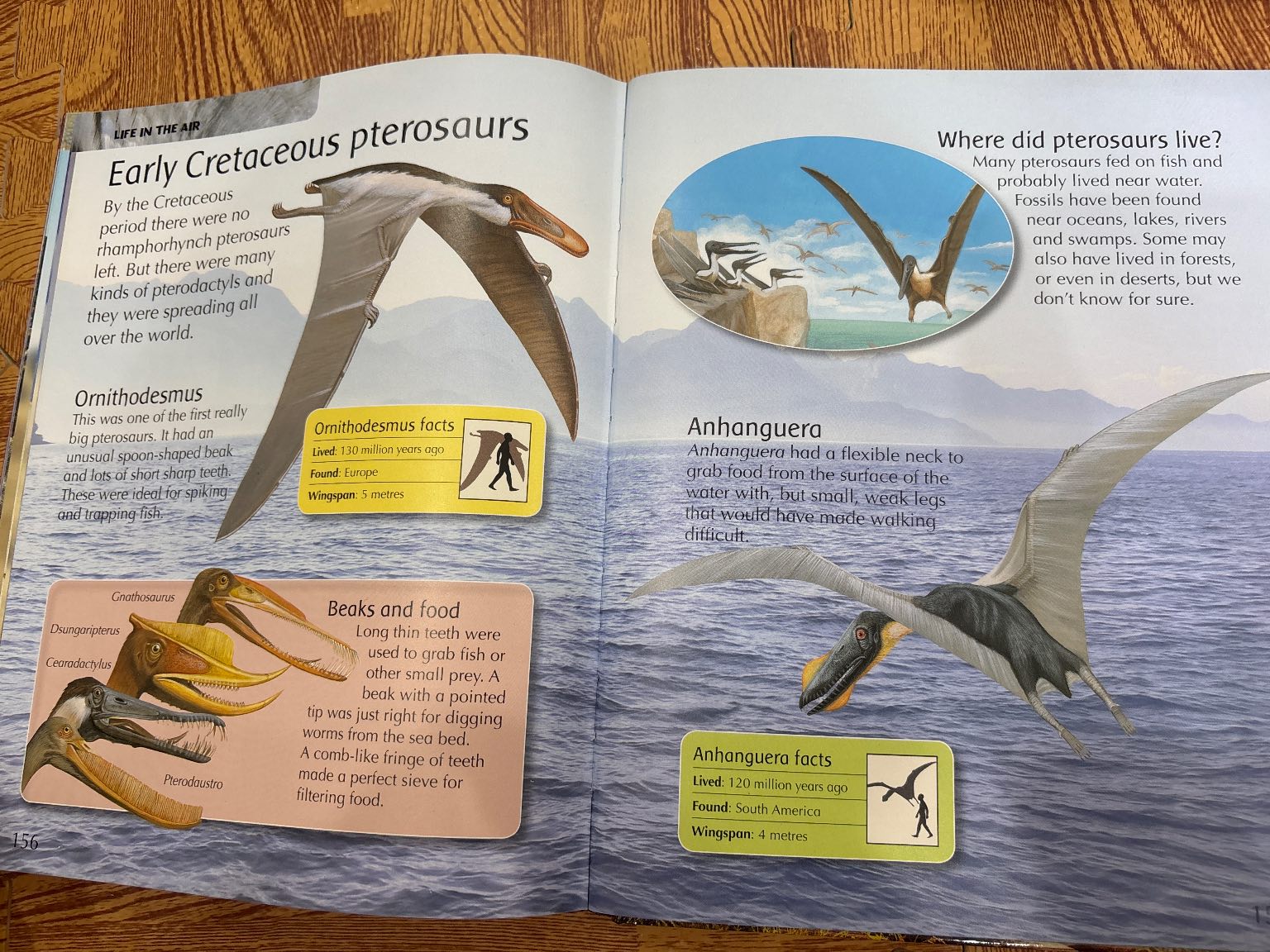 The Children's Encyclopedia of Dinosaurs — ảnh 5