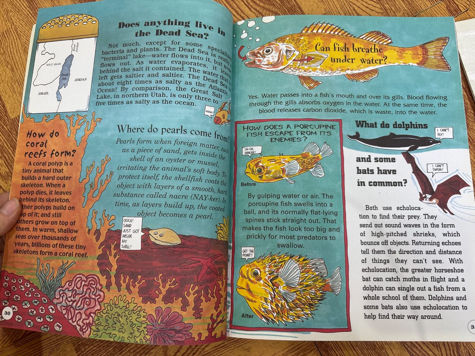 Biggest Book of Science — ảnh 5