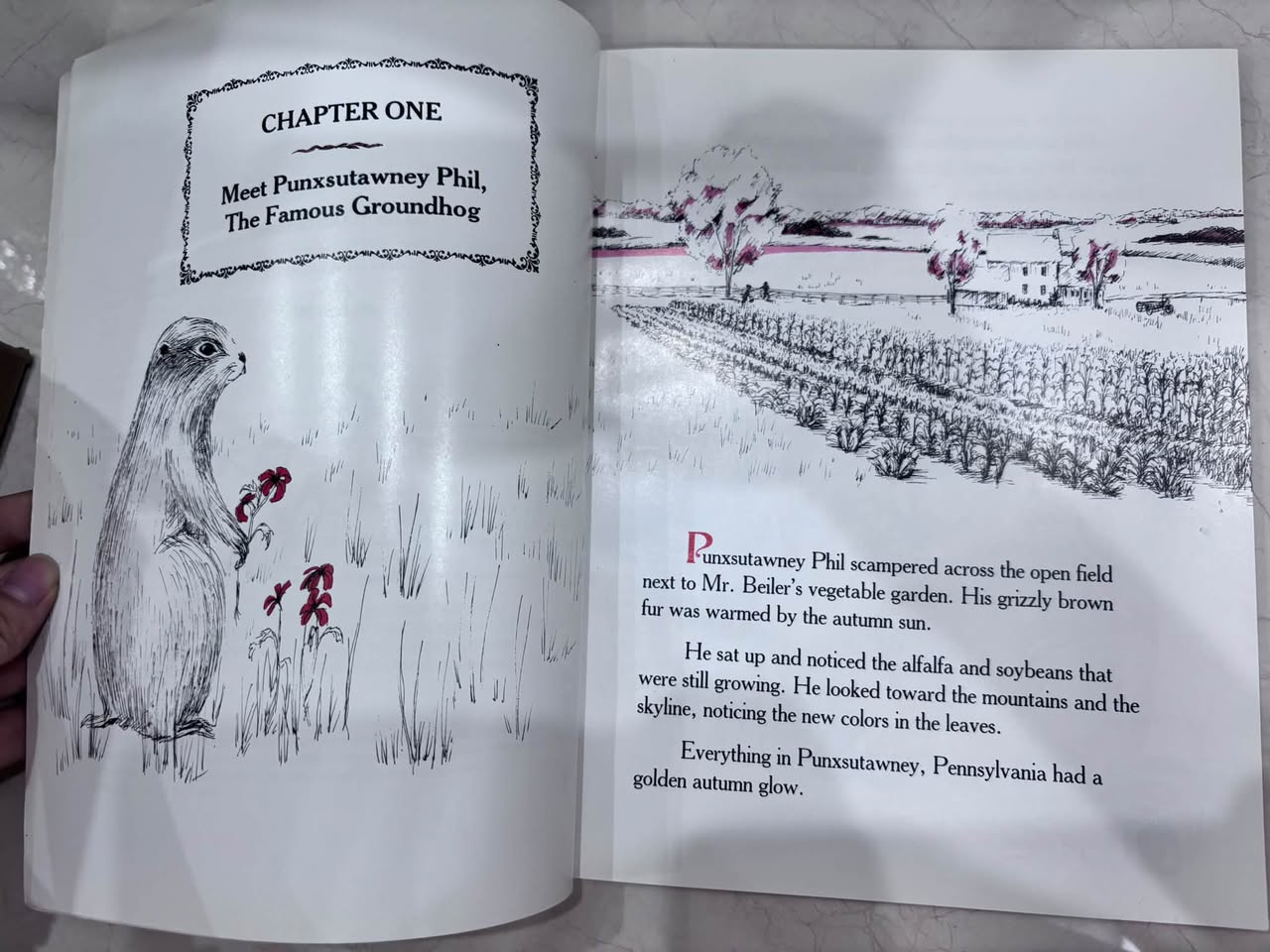 THE STORY OF PUNXSUTAWNEY PHIL: "THE FEARLESS FORECASTER" — ảnh 2