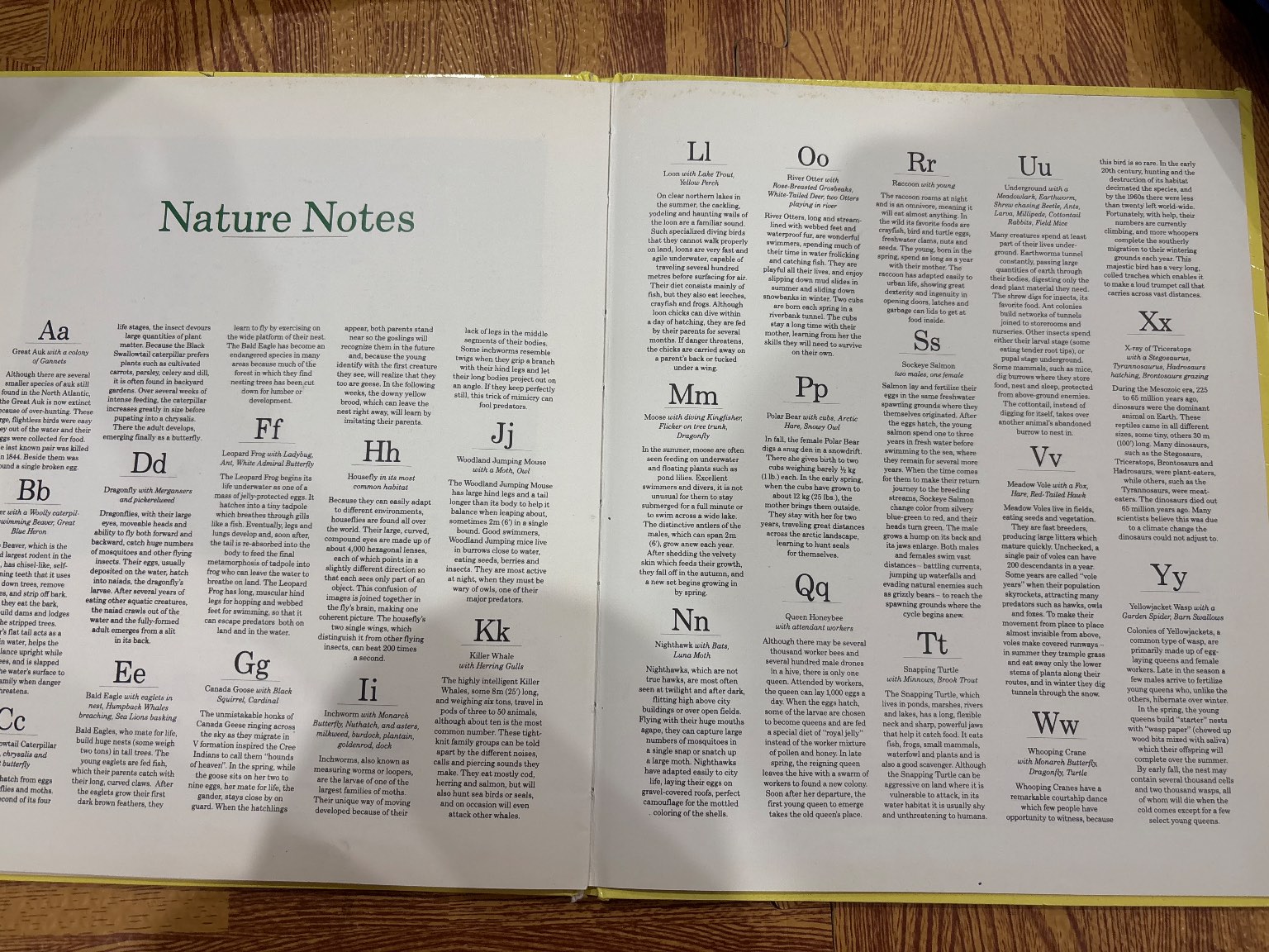 The Wildlife ABC — ảnh 5