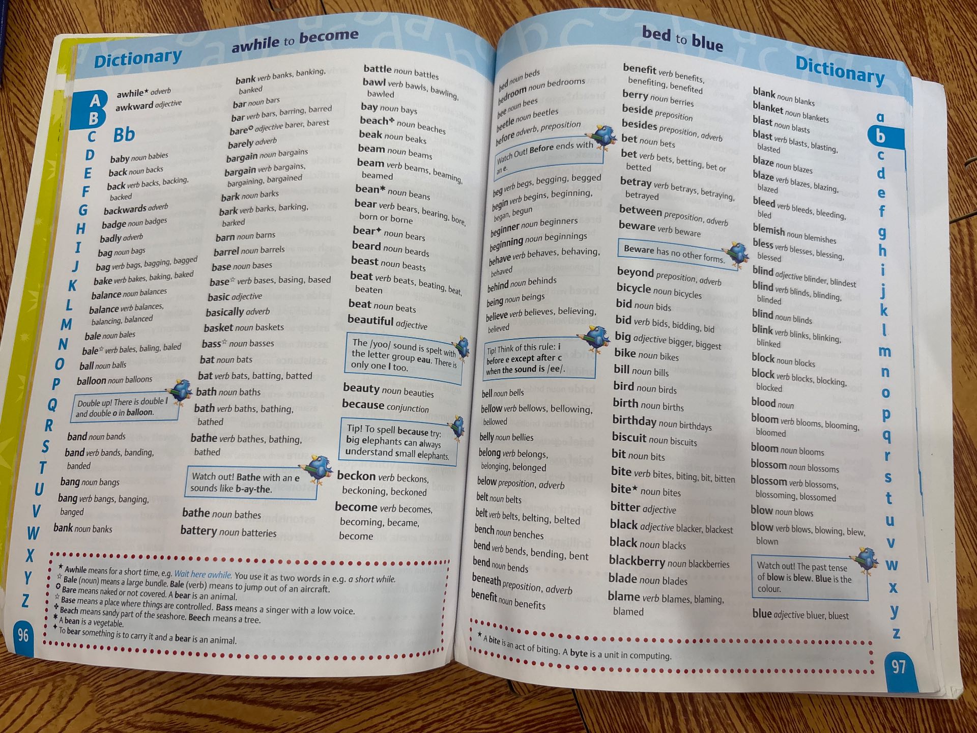 Oxford Primary Grammar, Punctuation and Spelling Dictionary — ảnh 4
