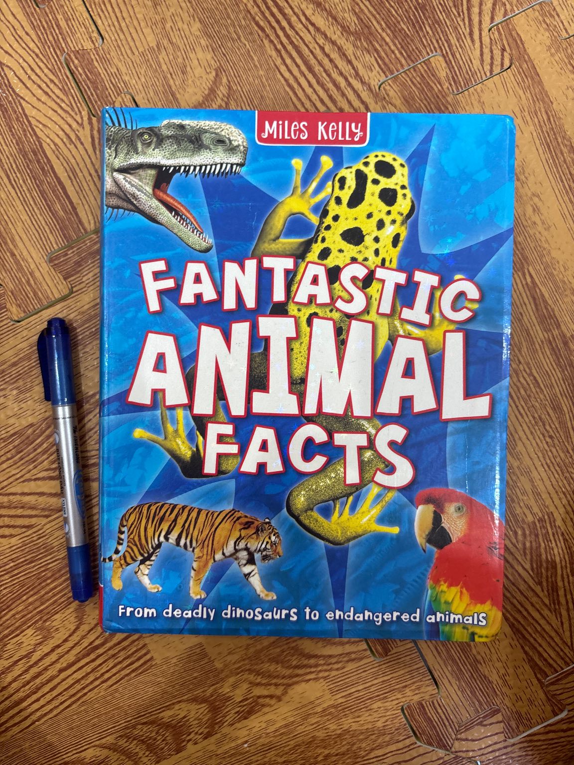 Fantastic Animal Facts — ảnh 1