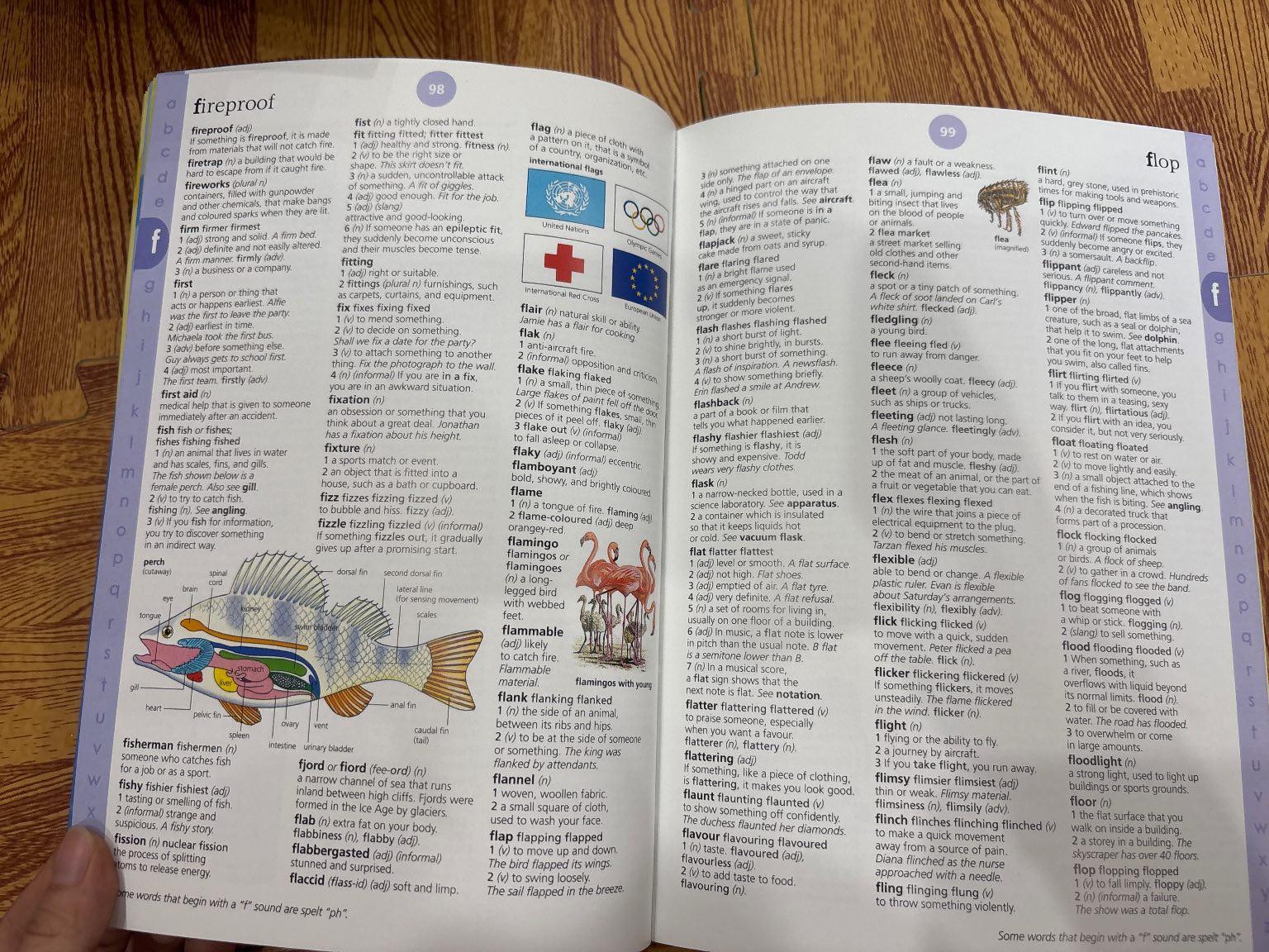Usborne Illustrated English Dictionary — ảnh 6