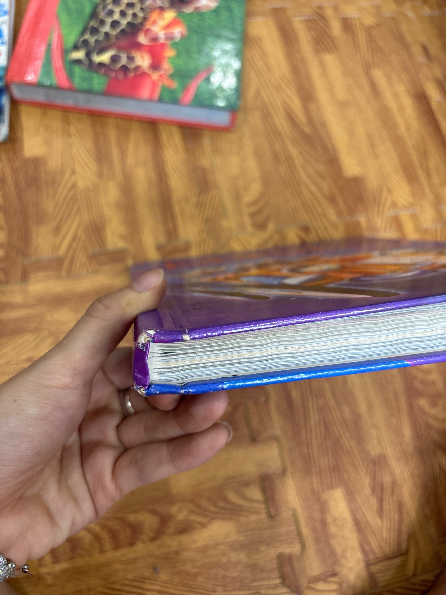 Journeys Common Core — ảnh 7