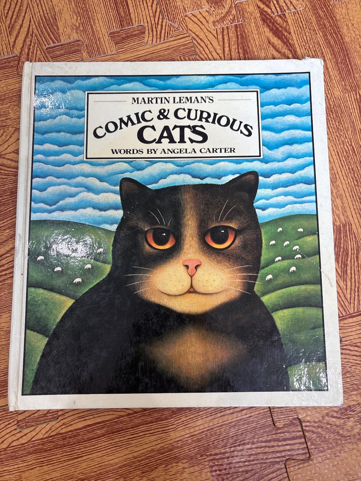 Comic & Curious Cats — ảnh 1