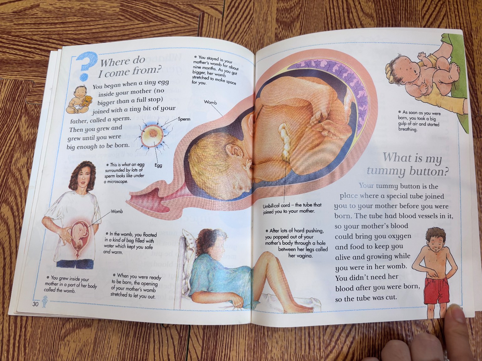 I Wonder Why My Tummy Rumbles — ảnh 6