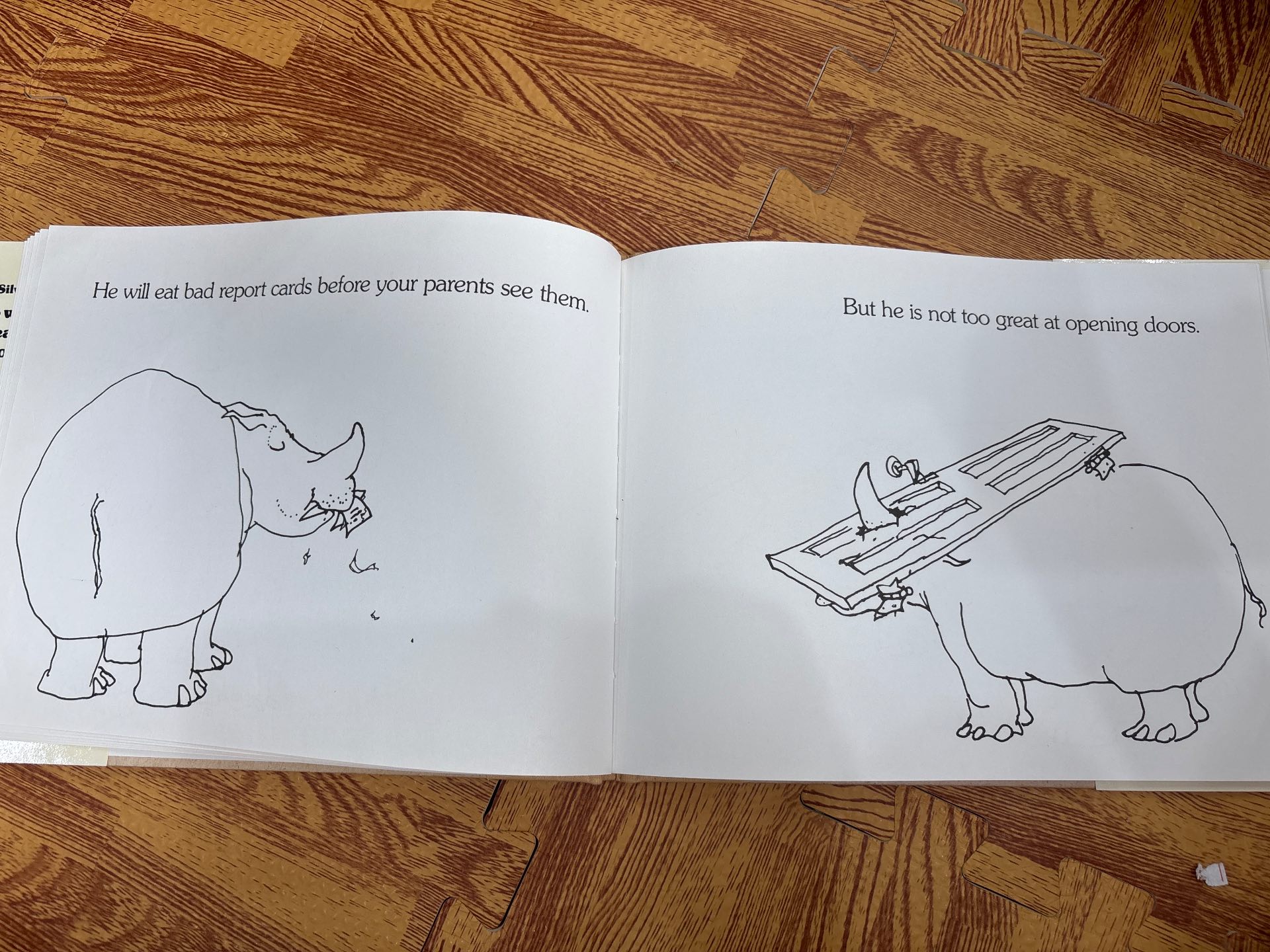 Who wants a cheap Rhinoceros? — ảnh 5