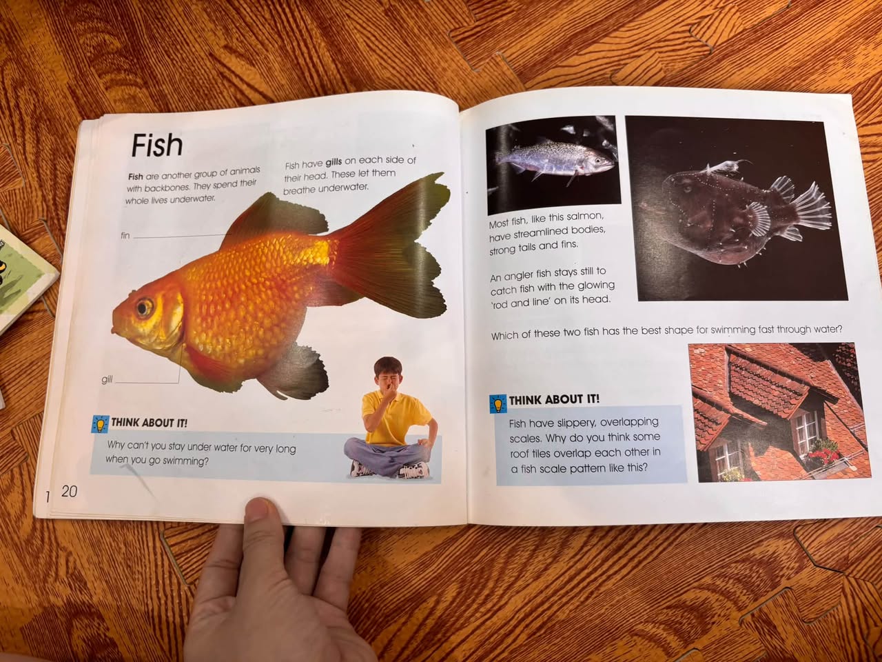 IT'S SCIENCE! ALL KINDS OF ANIMALS — ảnh 5