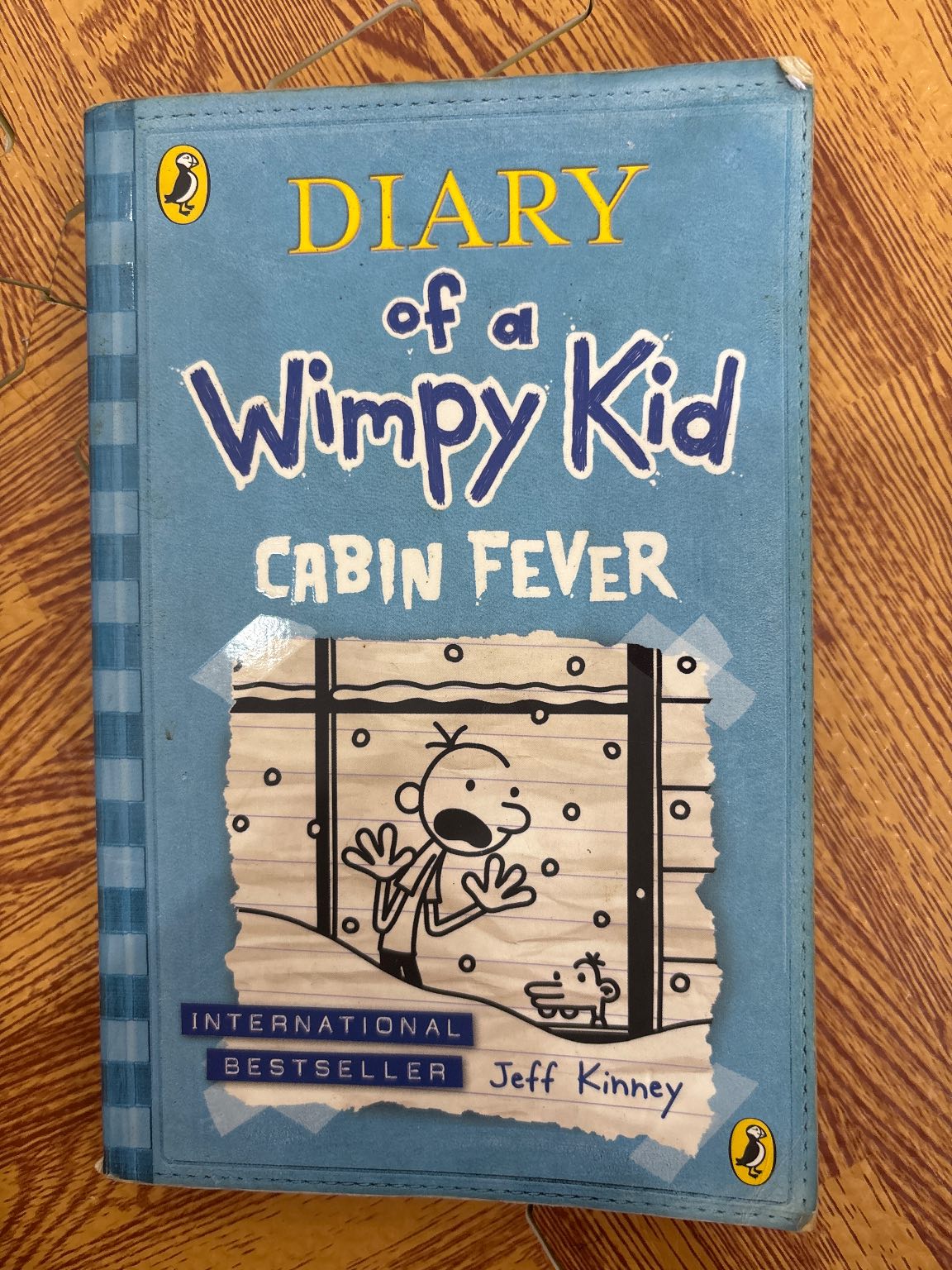 Diary of a Wimpy Kid: Cabin Fever — ảnh 1
