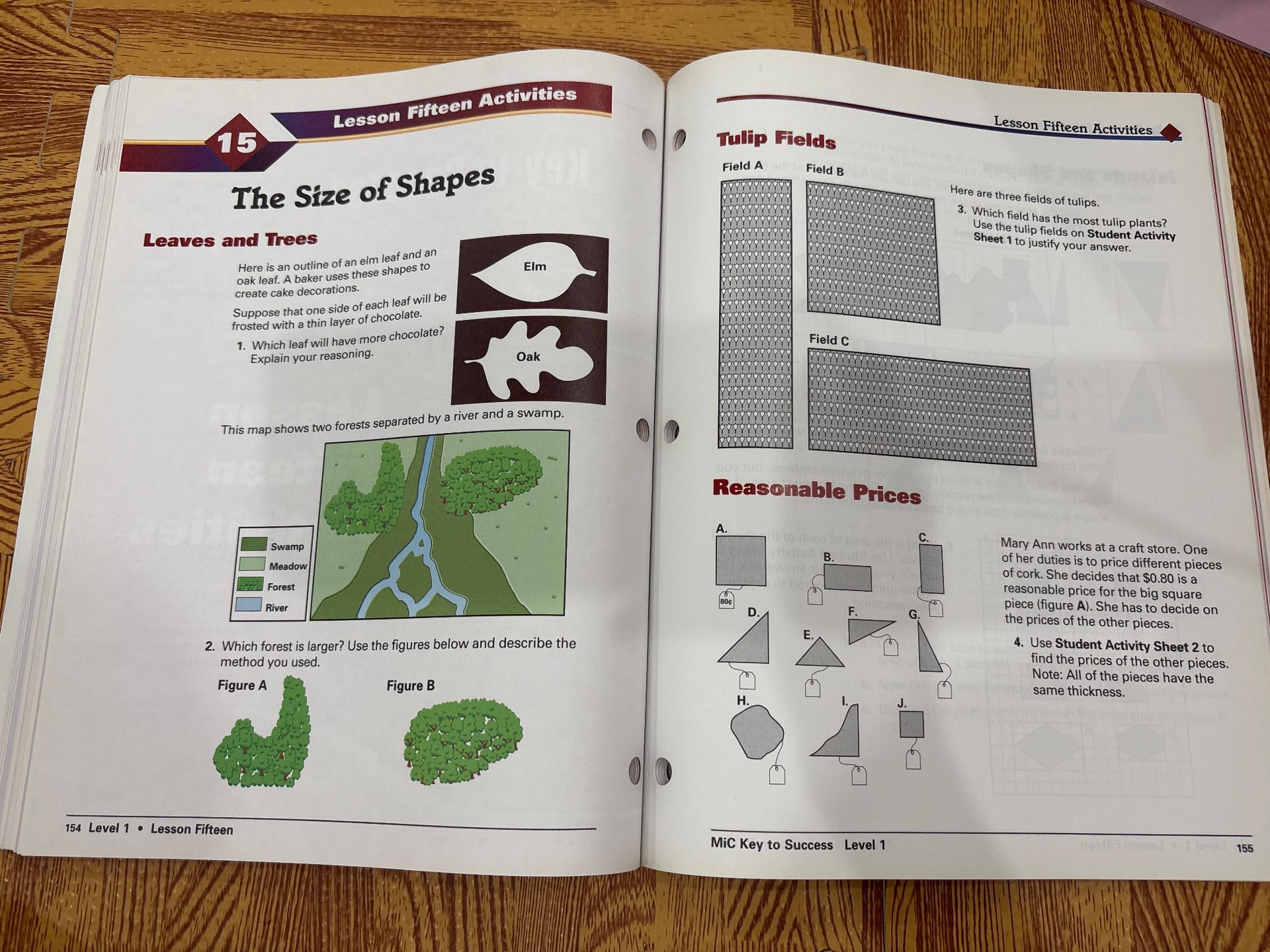 Key to Success - Britannica Mathematics in Context — ảnh 6
