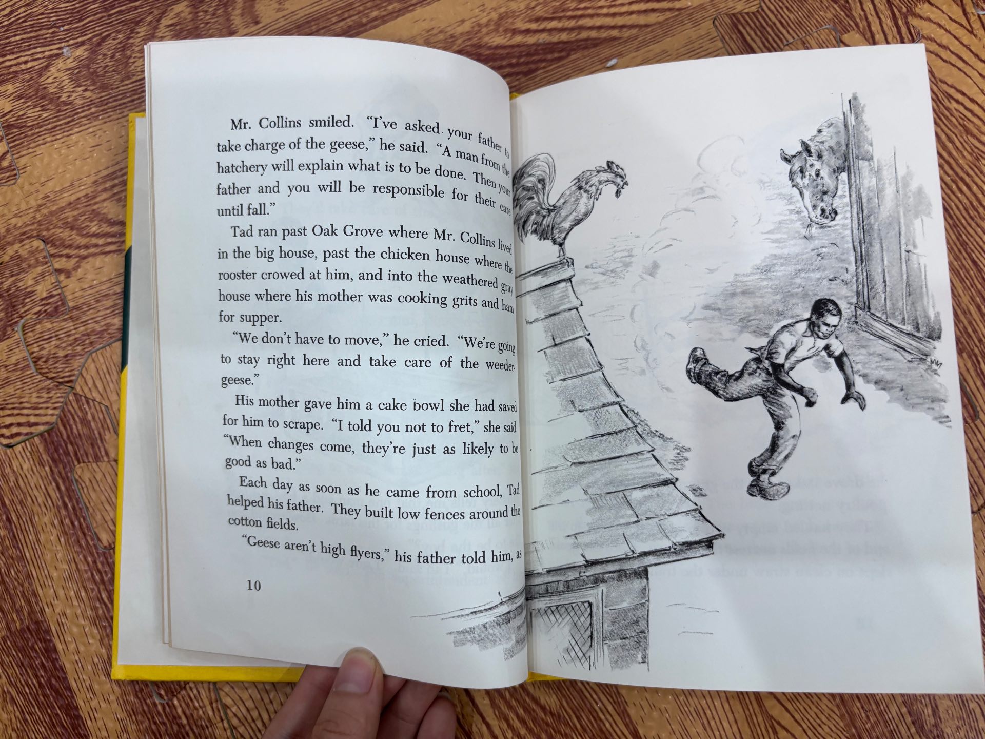 The Goose That Was A Watchdog — ảnh 5