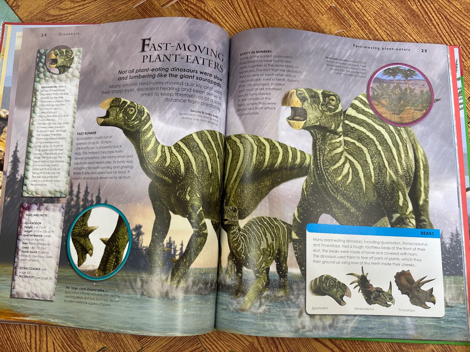 The Age of Dinosaurs — ảnh 3