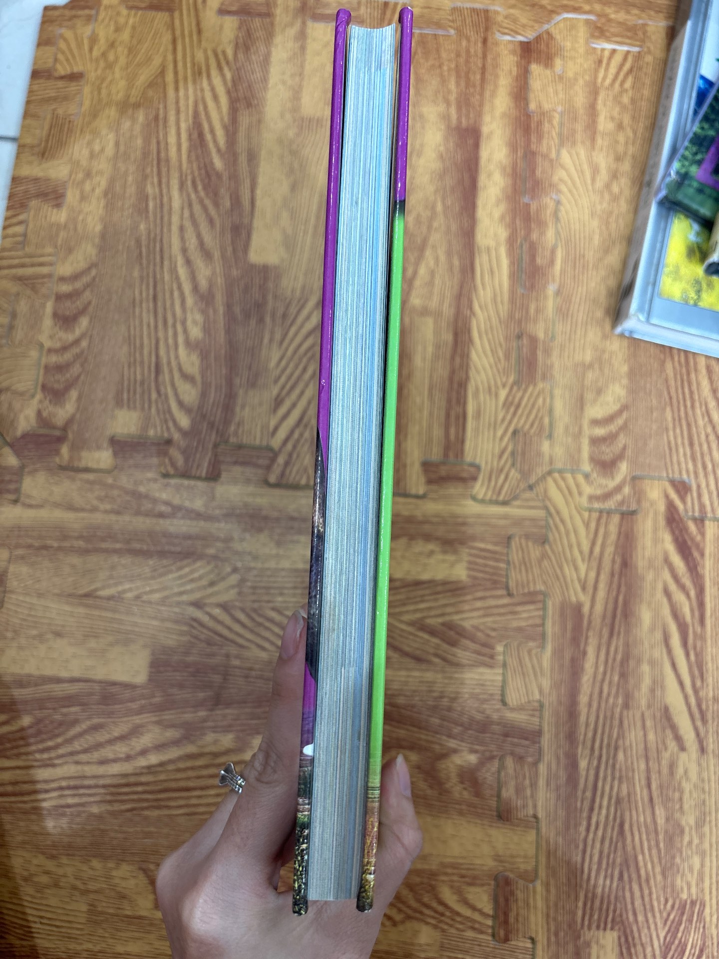 The Children's Encyclopedia of Dinosaurs — ảnh 7